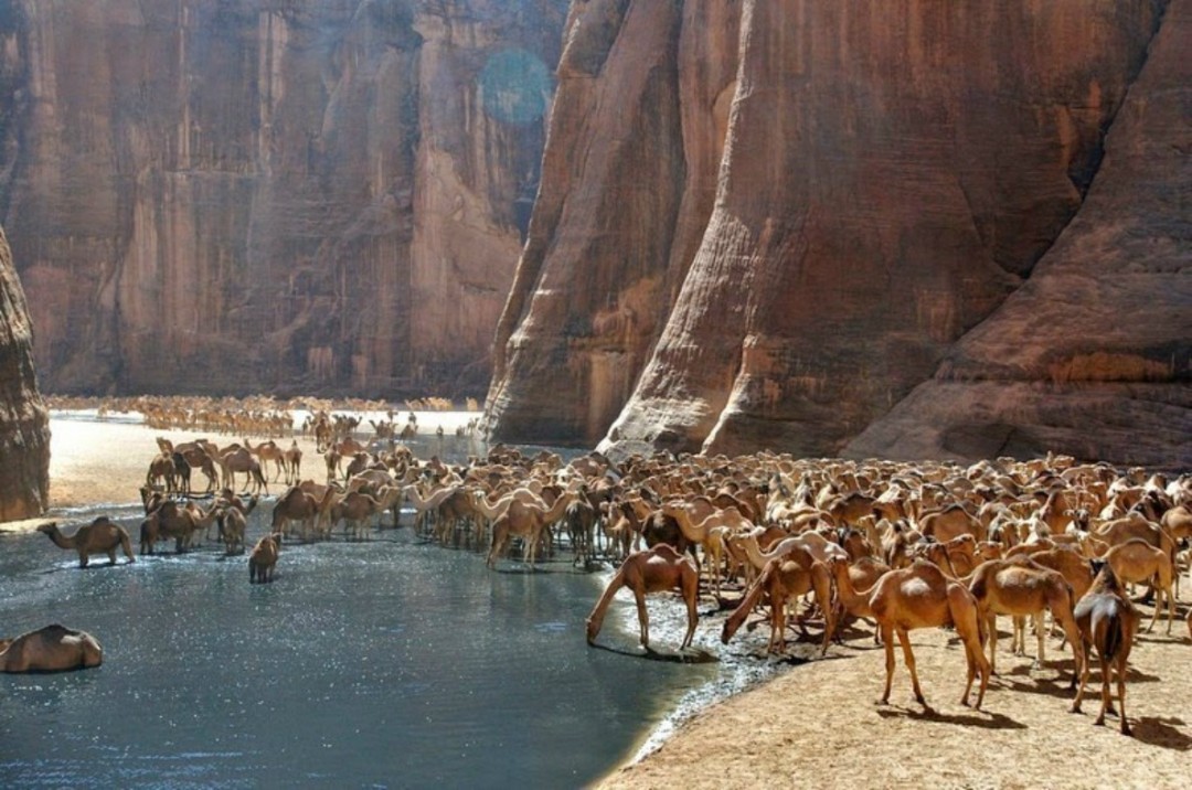 VOYAGE AU TIBESTI, L'OASIS OUBLIÉE