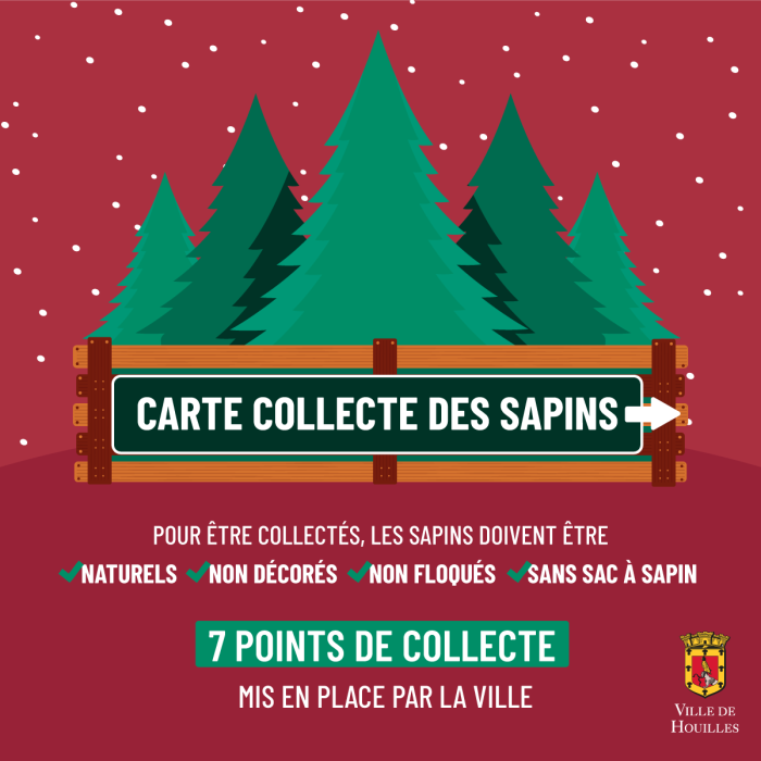 Collecte des sapins